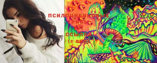 ешки Бронницы