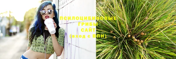 ешки Бронницы