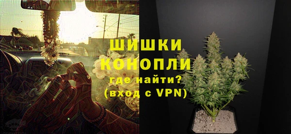 ешки Бронницы