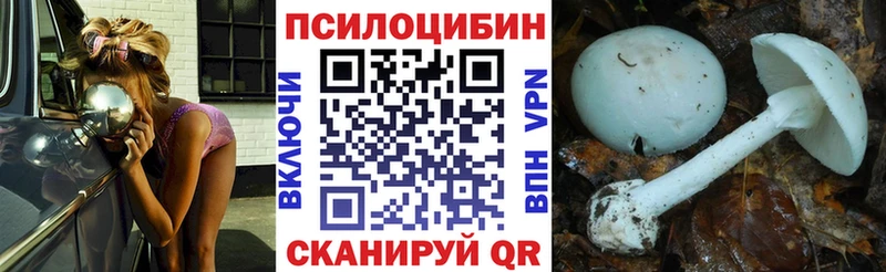 Псилоцибиновые грибы Psilocybine cubensis  Чебоксары 