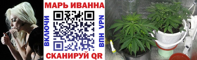 Каннабис OG Kush  Чебоксары 